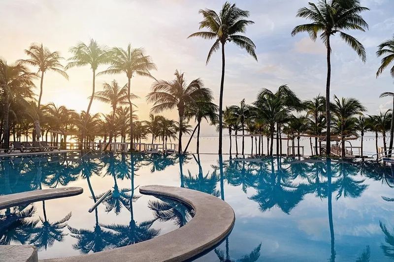 A palm-lined pool in Playa del Carmen